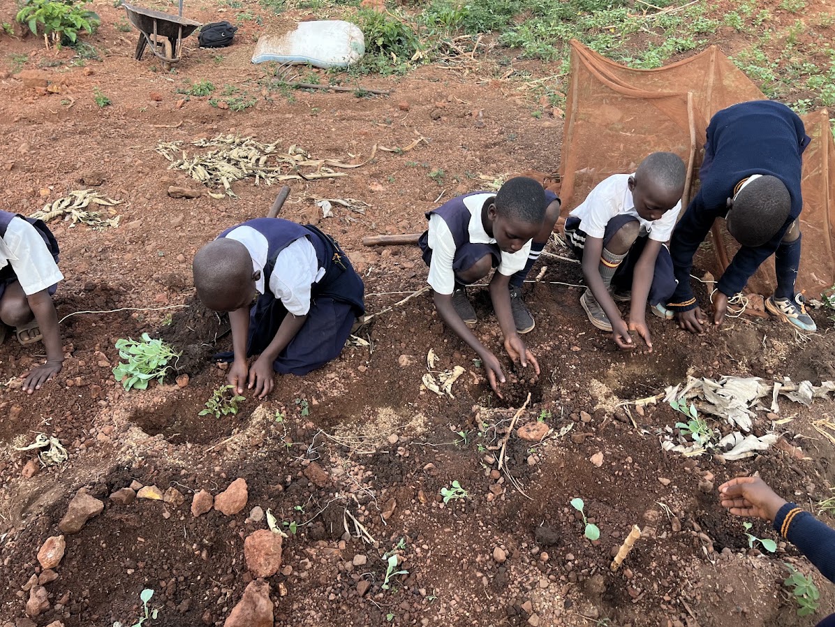 Organic Gardening