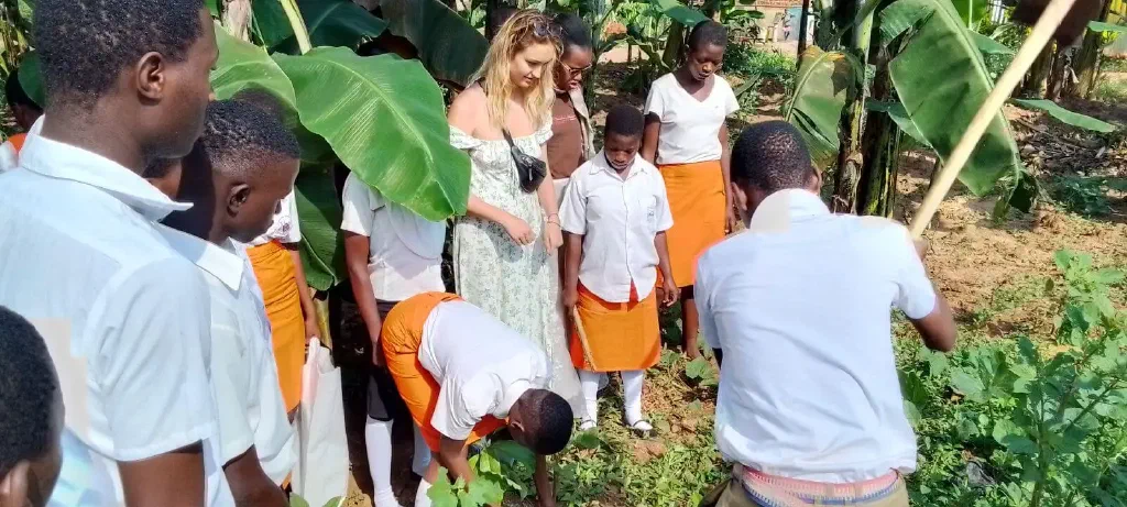 Impact of donations