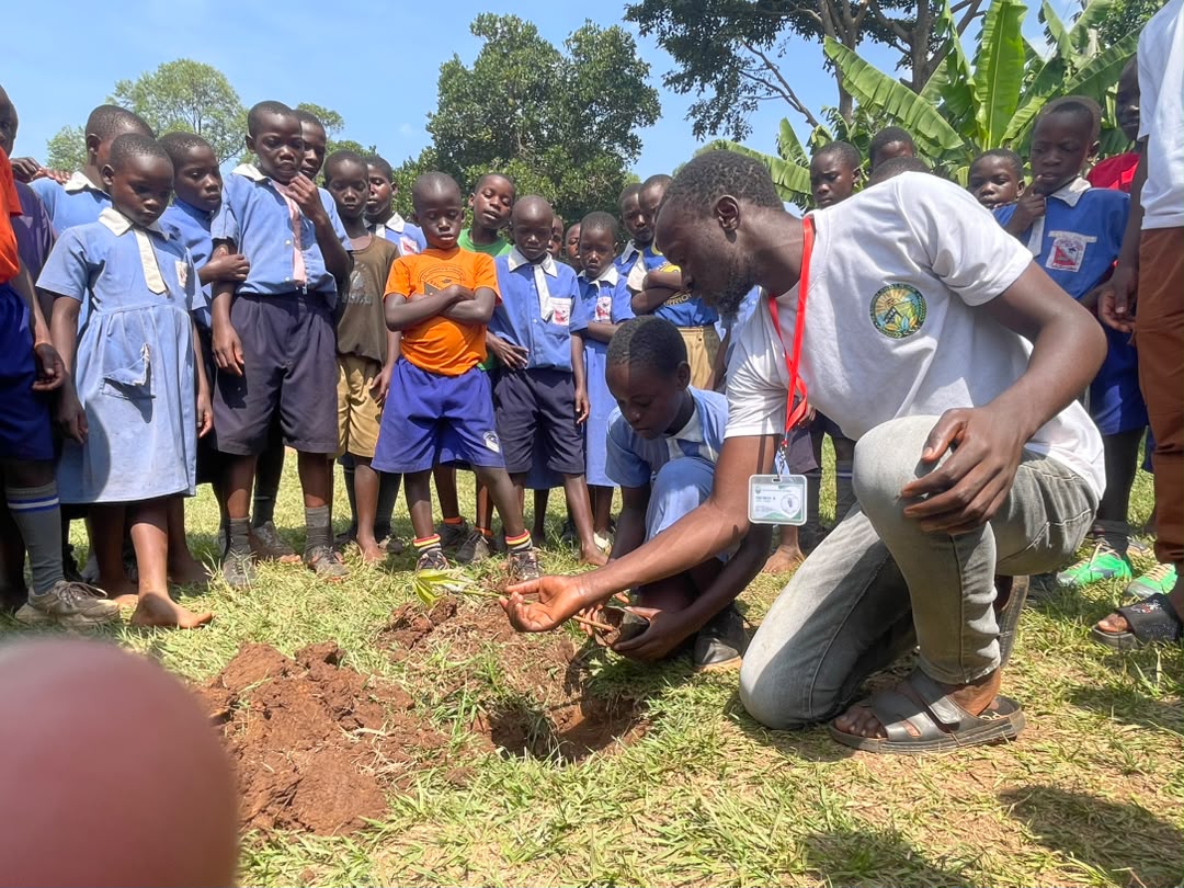 Tree Planting